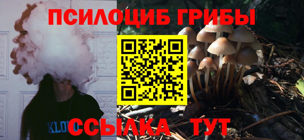 Красноармейск  Псилоцибиновые грибы мухоморы  хочу   Вход с VPN 